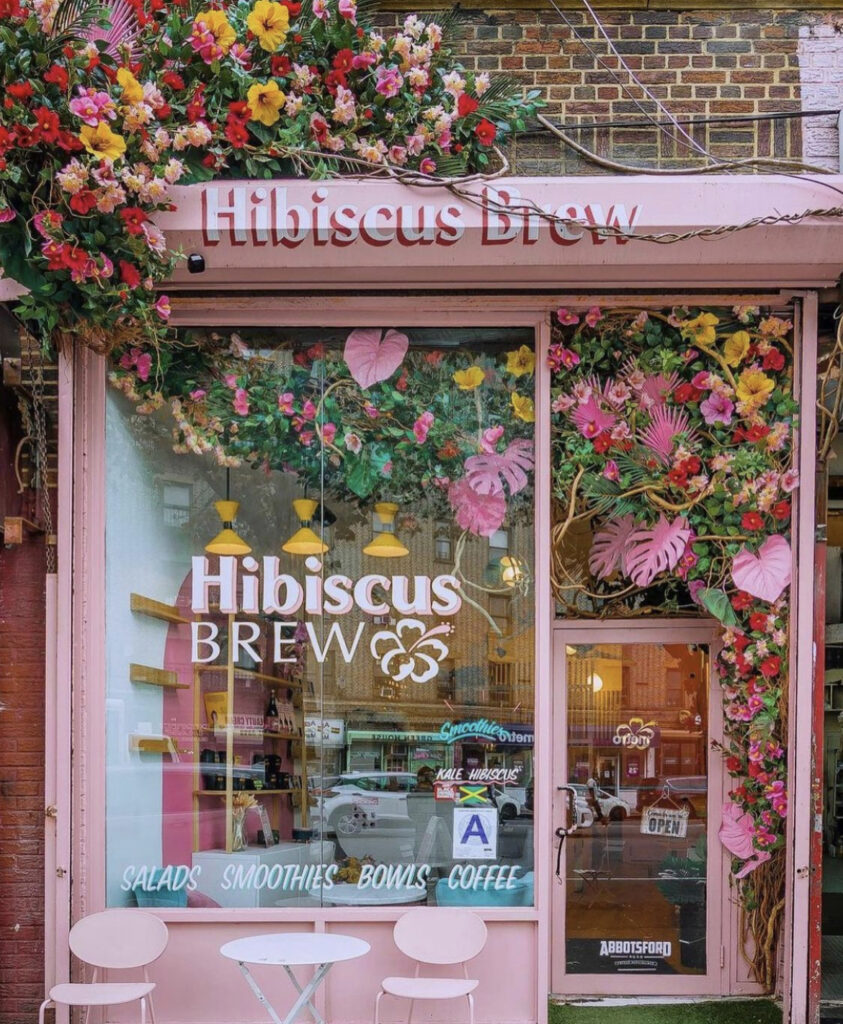 Brick building with a pink awning over a flower dotted, pink-paneled glass door bearing the Hibiscus Brew name and sign